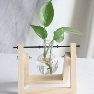 Floating Propagation Vase w/ Plant Cutting